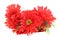 Boutonniere of red synthetic artificial flowers