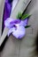 Boutonniere, wedding male accesory