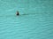 Bouy in the water