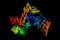 Bovine Arp2/3 complex. Arp2/3 complex is a seven-subunit protein