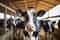 Bovine Assembly: Group of Cows Residing Indoors in Farm Yard. Generative ai