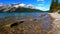 Bow Lake Banff National Park