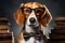 Bow tied beagle embraces studious look, glasses add extra flair