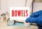 bowels word in a dictionary. bowel concept
