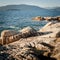 Bowen Island and Passage Island from Lighthouse Park, West Vancouver, BC