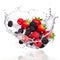 A bowl of berries and raspberries splashing into water. Digital image.