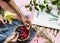 Bowl of berries in summer time