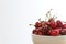 Bowl of bing cherries against white background