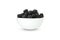 Bowl blackberry isolated on white background