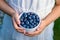 Bowl with blueberries in child hands