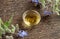 A bowl of borage oil and blooming borage plant