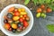 Bowl of colorful heirloom home grown tomatoes harvest