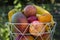 A Bowl of Delicious Fresh Fruit with apples, bananas, oranges, mangoes and papayas