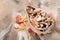 Bowl with different sea shells and starfishes on color background