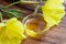 A bowl of evening primrose oil with blooming evening primrose