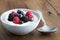 Bowl of fresh mixed berries and yogurt