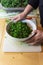 Bowl of fresh and organic massaged curly kale leaves for salad