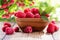 Bowl of fresh raspberries in a garden