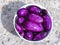 Bowl of freshly picked and washed purple potatoes