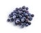 Bowl of frozen domestic blueberries on white background
