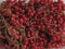 A bowl of frozen red currants on a white plate or table. Harvesting berries for the winter. Preservation of the crop in the