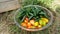 Bowl full of different peppers