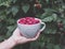 Bowl with heart full of fresh delicious raspberries in hand