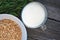 Bowl of oatmeal, glass of milk and green young oats on gray wooden table