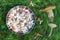 bowl with pieces of edible autumn mushrooms, green grass background with twirl effect and different mushrooms, top view