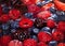 Bowl of Raspberries, Blackberries, blueberries and strawberries in water