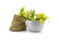 Bowl and small hessian bag of linden flowers