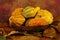 Bowl of squashes with dried leaves