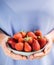 A bowl of strawberries held in two hands by a girl in pastel blue clothes