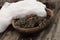 A bowl of succulents covered with snow