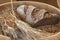 Bowl of Wheat Grains, Flour and Bread