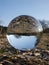 Bowl which is mirror inverted standing on foliage