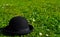 Bowler hat on lawn