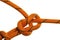 Bowline knot