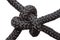 Bowline Knot isolated