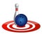 Bowling ball target concept