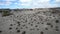 Bowling Field, Ischigualasto National Park, Moon Valley, San Juan, Argentina. UNESCO world heritage site, and a major touristic