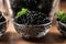 Bowls with delicious black caviar on wooden table