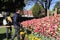 BOWRAL, AUSTRALIA - Sep 23, 2020: Man with photo camera and wife in a tulip garden