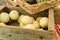 Box of cantalope melons at the market