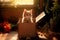 Box Conundrum: The Curious Cat\\\'s Quest