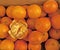 Box of fresh juicy mandarin