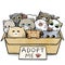 Box full of cats for adoption