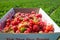 Box full of fresh organic strawberries in the field