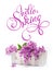 Box and lilac on a white background and text Hello Spring. Calligraphy lettering