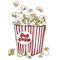 Box of popcorn. For menu, web, poster. Symbol of fastfood, cinema, entertainment.